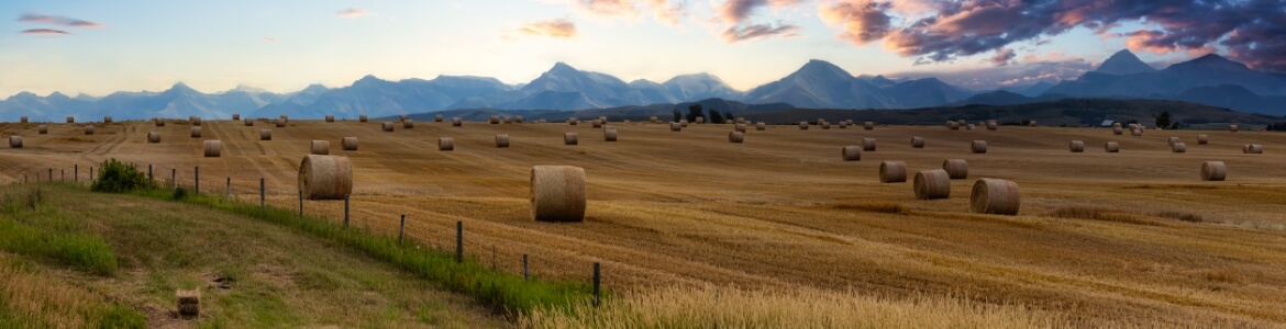 A beautiful Albertan landscape